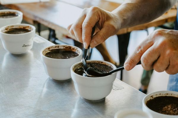 Les meilleurs cafés de luxe à découvrir lors de votre prochaine dégustation